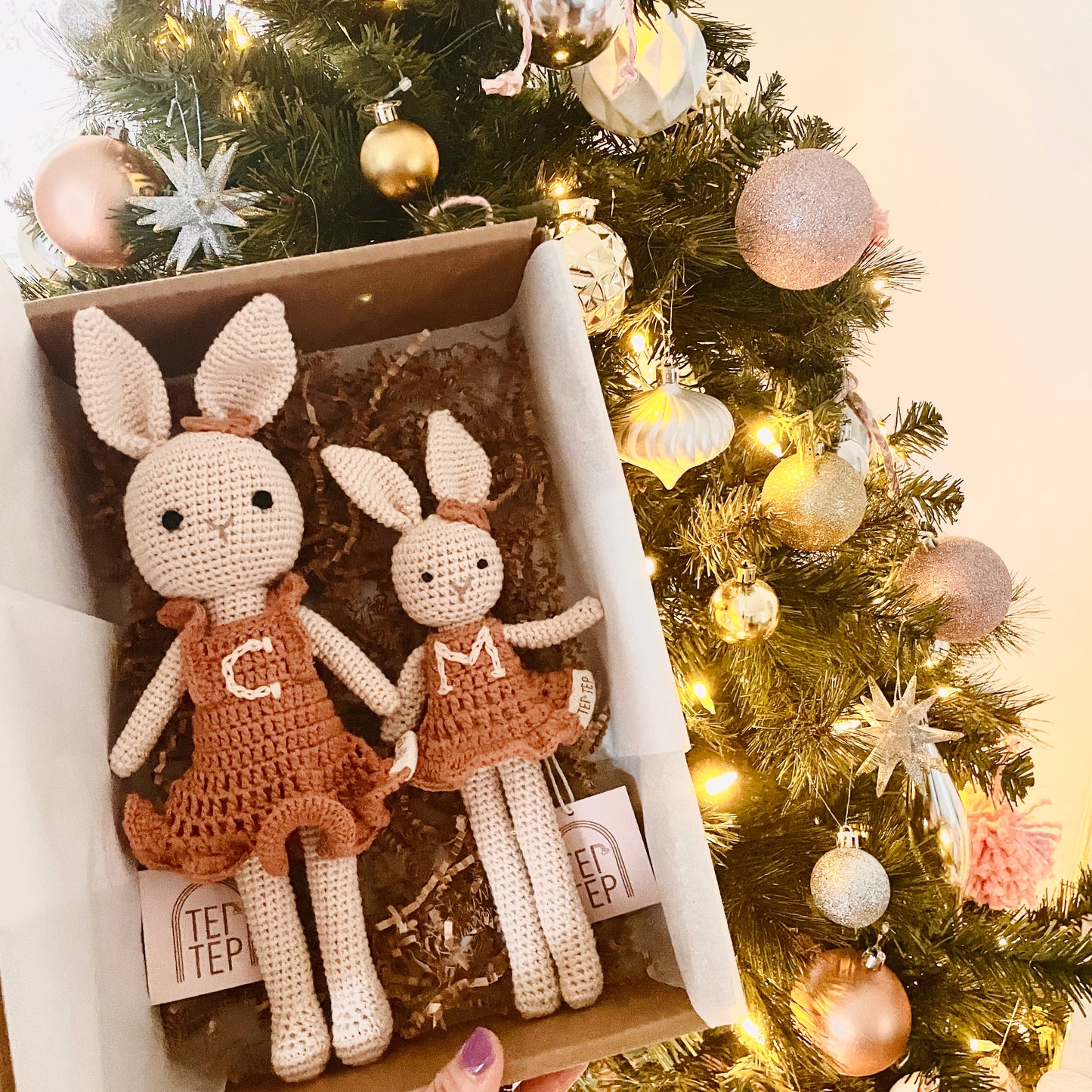 Boho Personalized Big Sister & Little Sister Bunnies