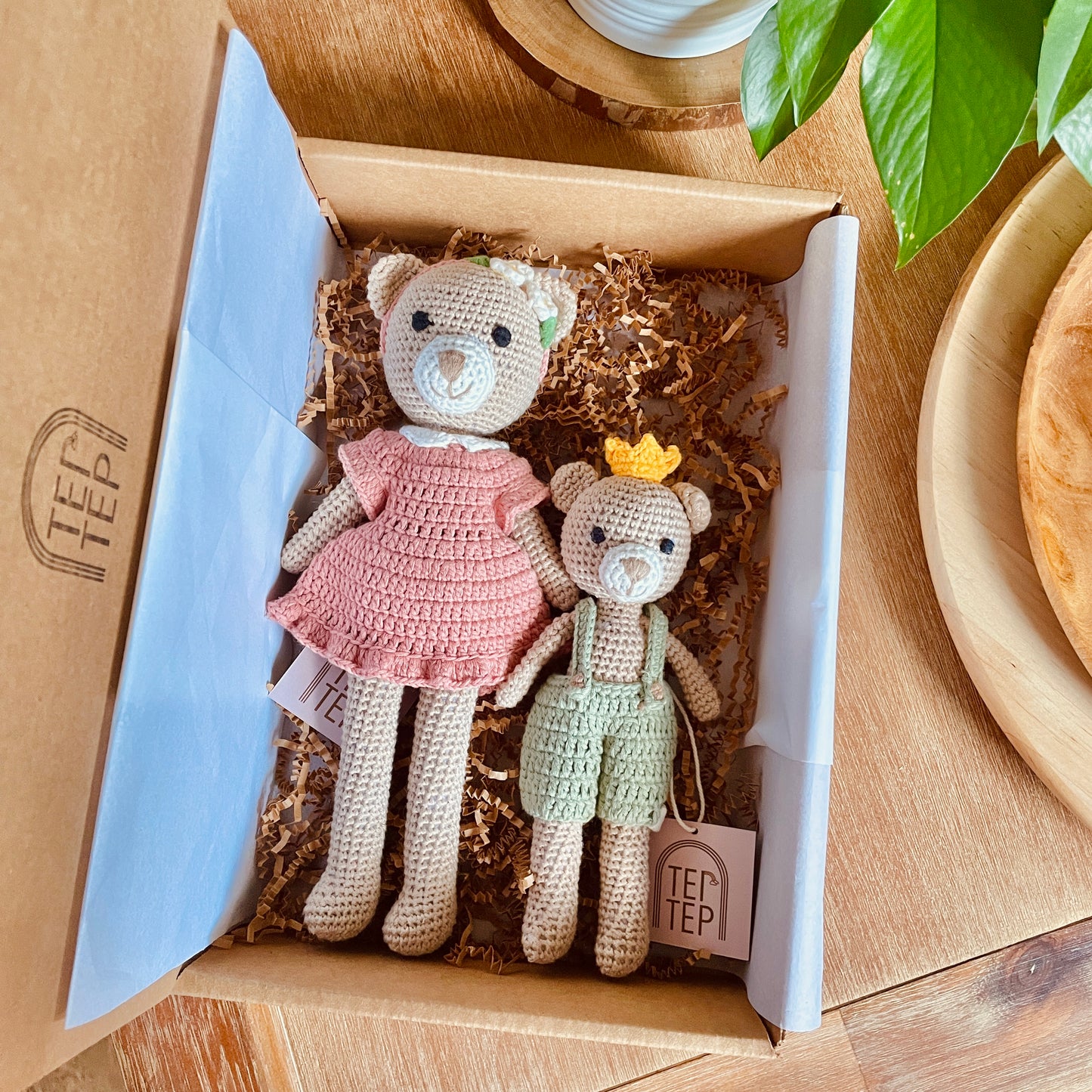 Bear Big sister & Little Brother