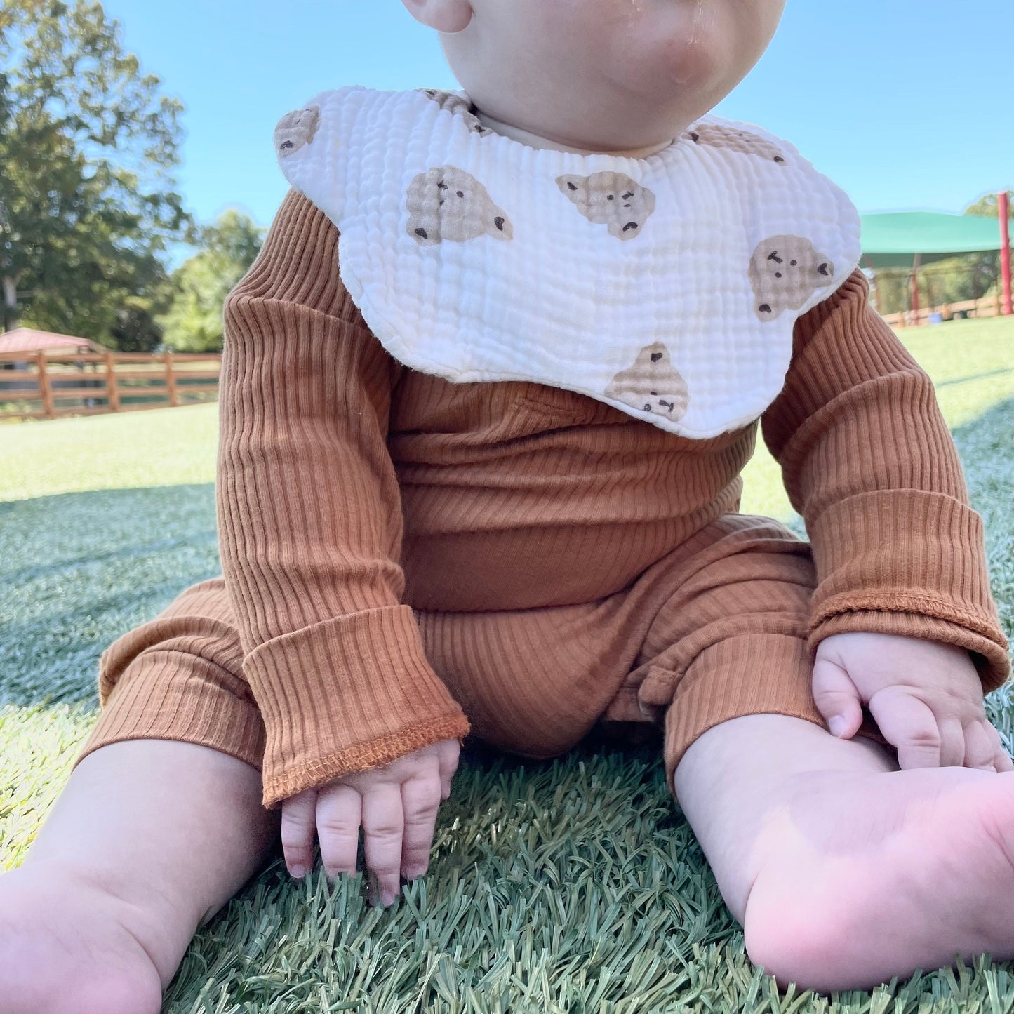 Teddy Bear Baby Bibs